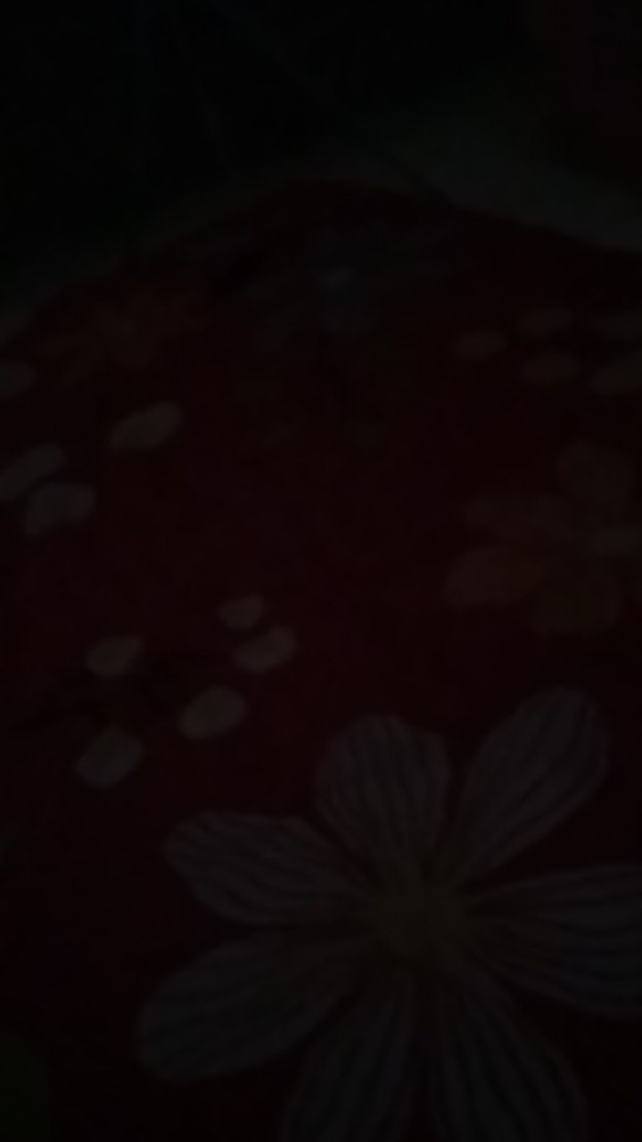 Pelampung Toren Otomatis Otovalv Penguin Vertikal Ukuran 1/2”