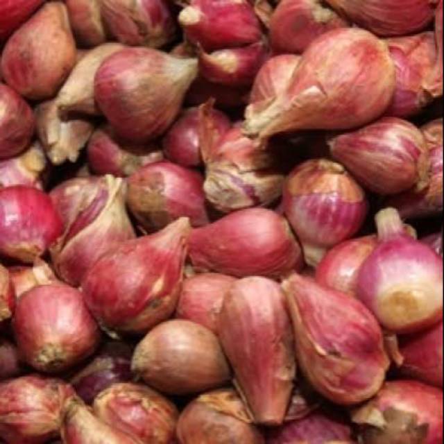 

Bawang Merah 250 gram Paling Murah