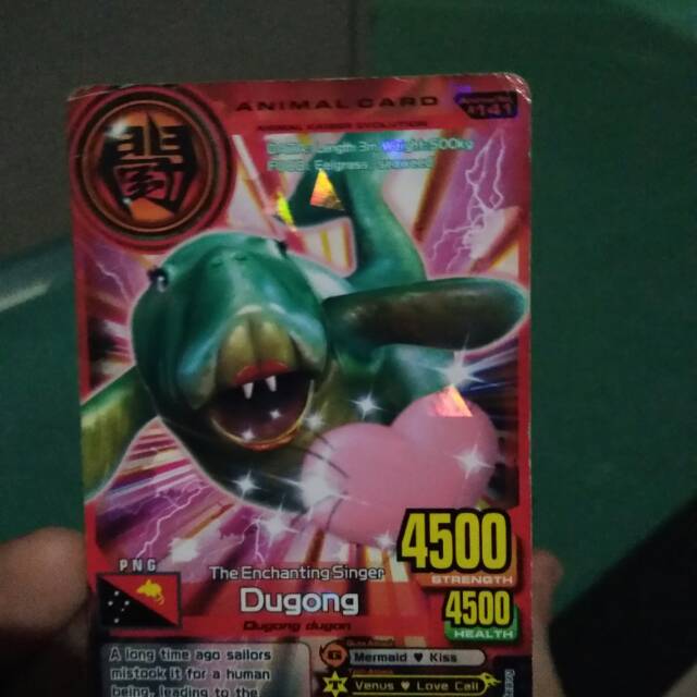 DUGONG (KARTU ANIMAL KAISAR)