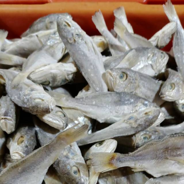 

Ikan Asin kepala batu 1kg