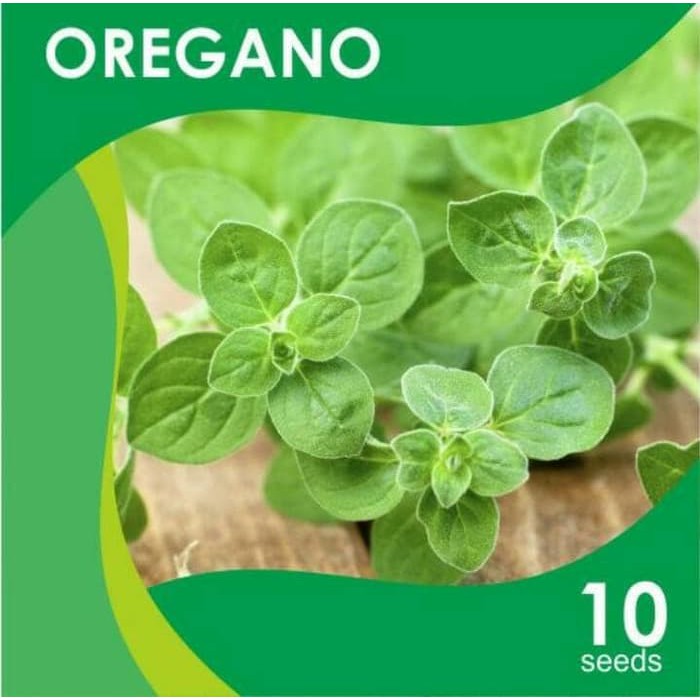 Jual Benih Oregano Diskon