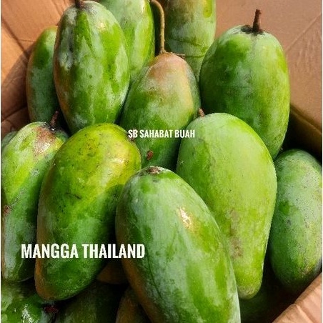 Jual Buah Mangga Thailand Mangga Kiojay Super Fresh Shopee Indonesia