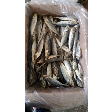 

asin peda layang per 250gram