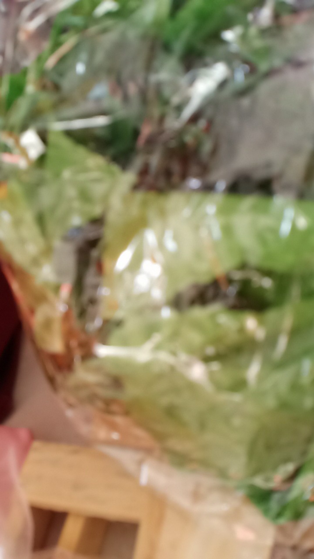 Daun Rambat Anggur Besar Plastik Artificial