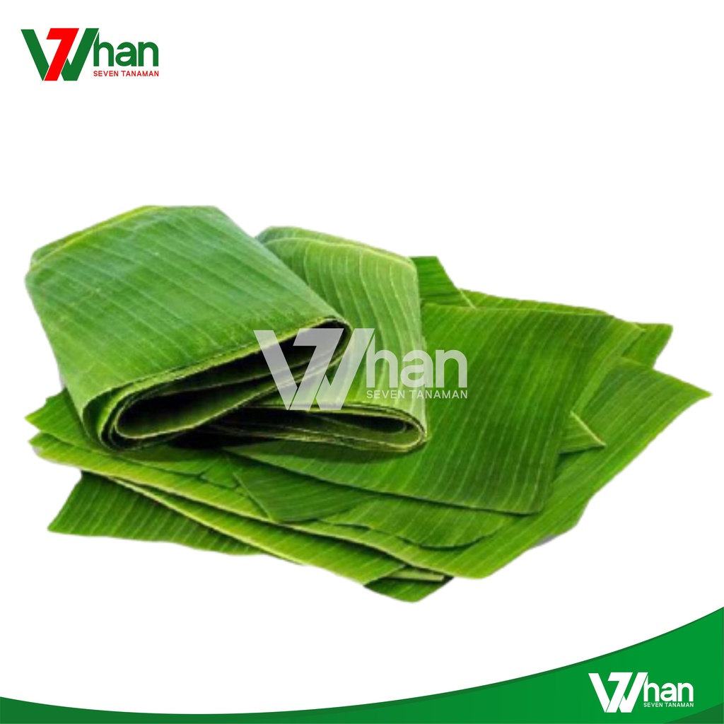 

DAUN PISANG 5OOGRAM WHAN7 TANAMAN