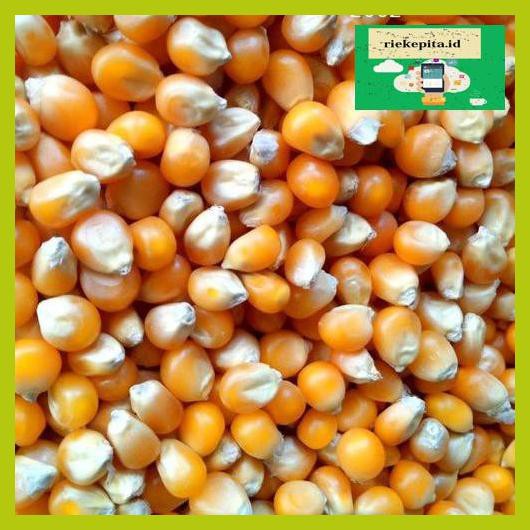 

5Yer67R- Popcorn Mushroom Kiloan Preferred Jumbo Mushroom Poprcorn T7Rty67-