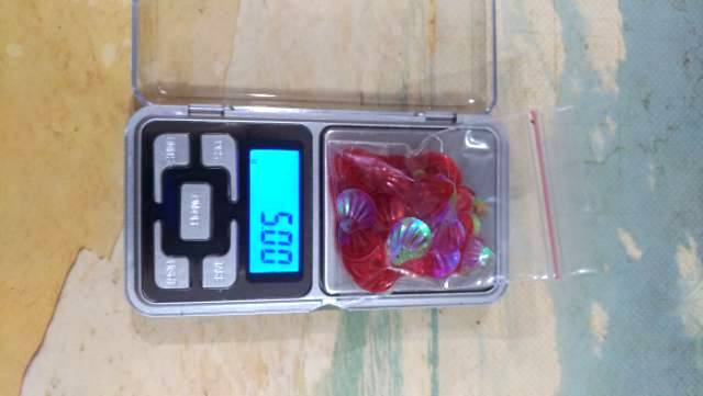 Payet Manik Kerang Merah Pelangi ( 5 gram)