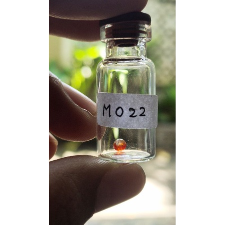 Batu mustika delima merah sir alam natural asli temuan M022