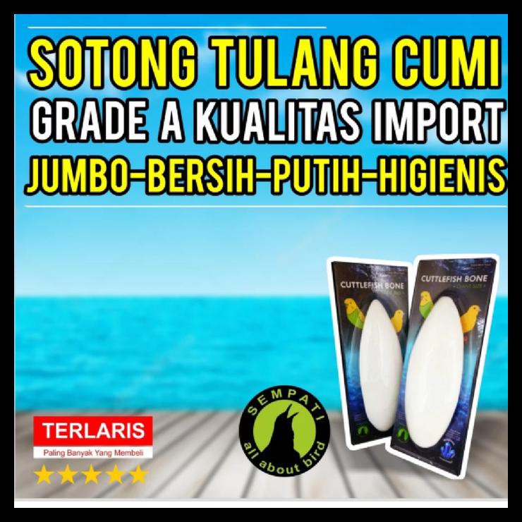 

Indh G001007 Cuttlefish Bone Tulang Sotong Cangkang Asinan Cumi Super Jumbo Hemat Kode 1287