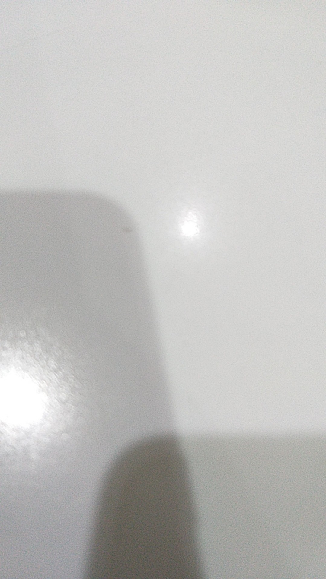 Sapu Ijuk Kipas Besar 2 Macan