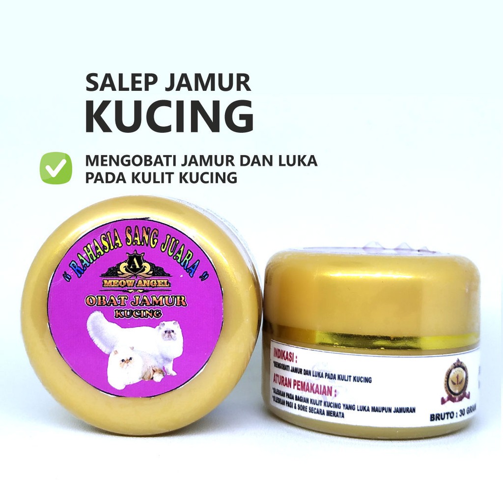 SALEP JAMUR KUCING | OBAT JAMUR KUCING AMPUH MENGOBATI LUKA DAN JAMUR PADA KULIT KUCING SCABIES DLL