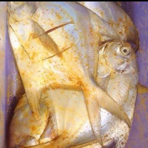 

ikan bawal laut ungkep bumbu kuning tinggal goreng per 500gr