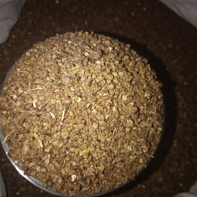 

Nasi aspal/tiwul