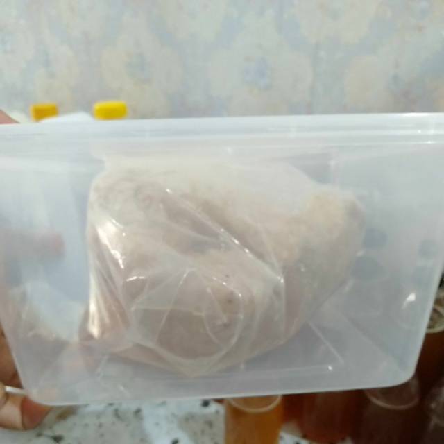 

Madu sarang lebah Sialang hutan