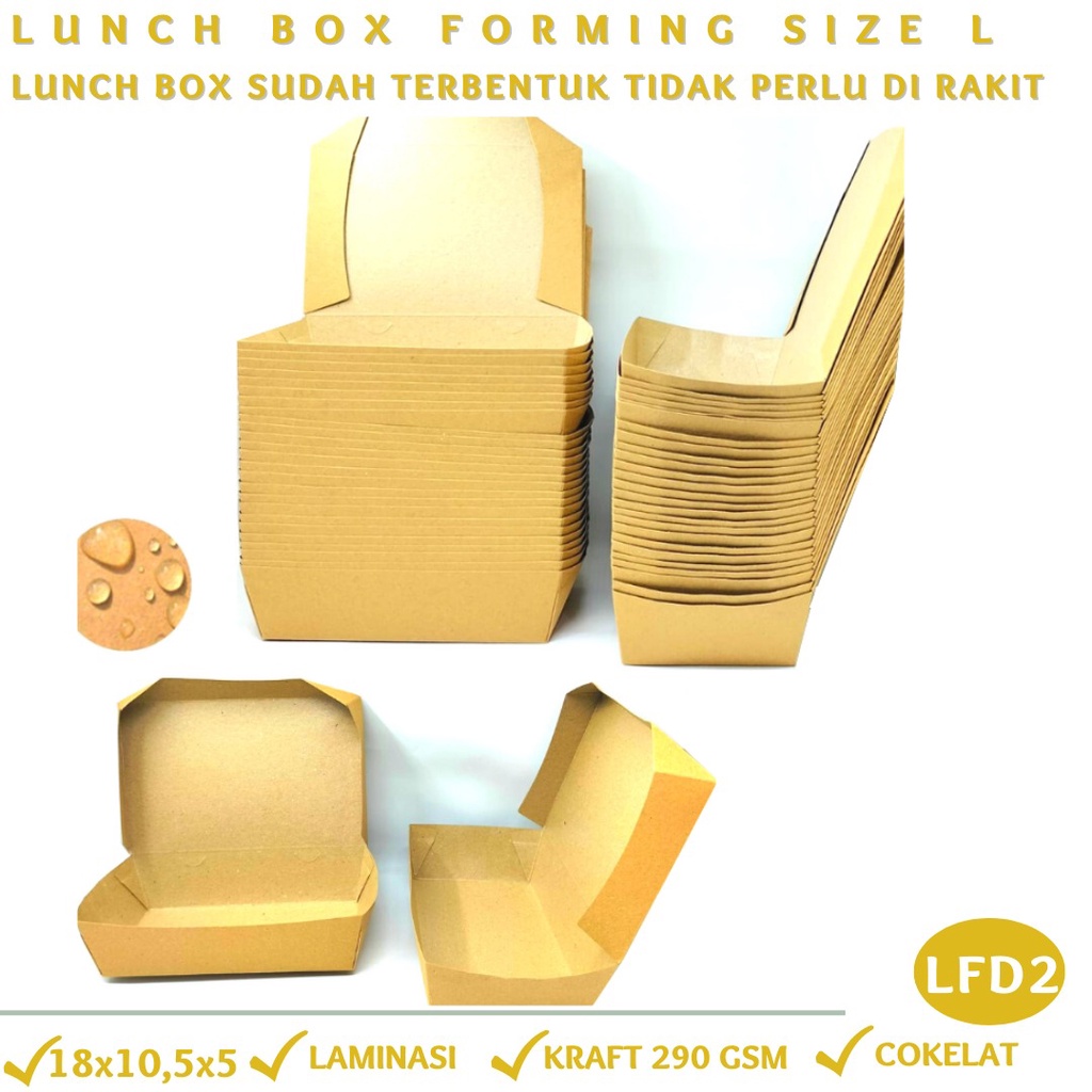 Lunch Box Large Sudah Terbentuk Tidak Perlu Dirakit (LFD2-18X10,5X5 Cm)