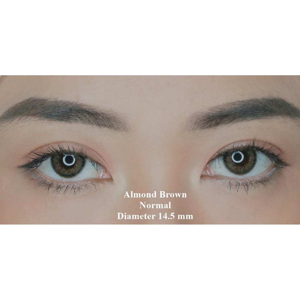 SOFTLENS MINUS SWEETY MACARON ALMOND BROWN 14.5MM (-6.00) GRATIS TEMPAT SOFLEN