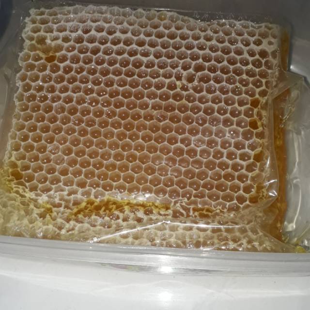 

Madu RAJA LEBAH asli 100%