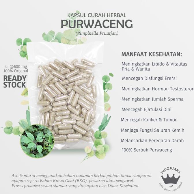 Purwaceng 100 Kapsul Curah Herbal Jamu Kuat Pria Vitalitas Libido Ed