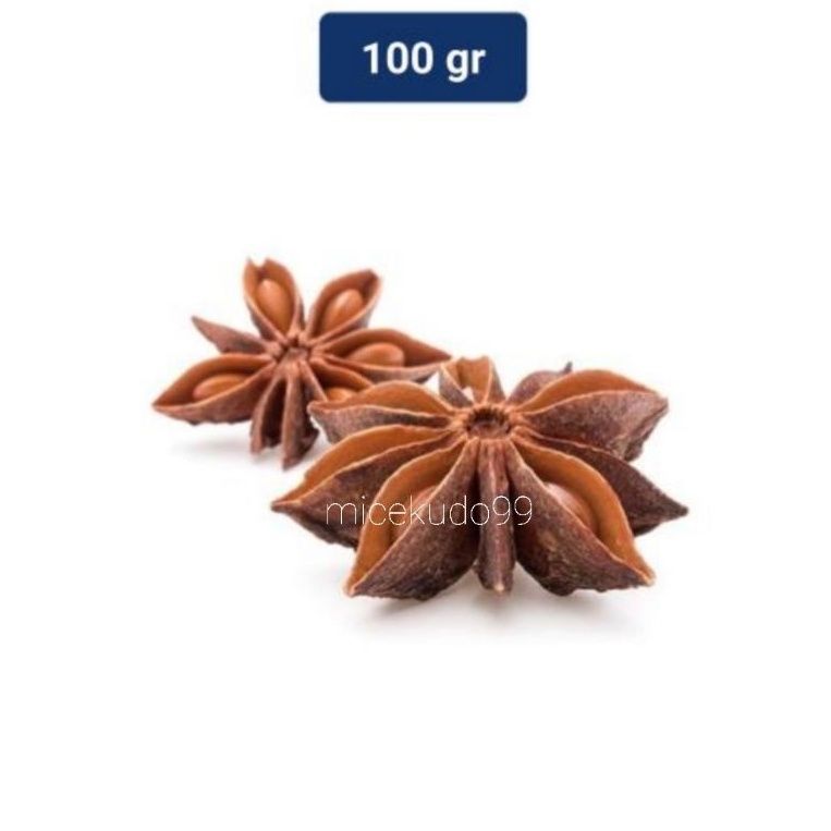 

STAR ANISE 100GR BUNGA LAWANG BA JIAO STARANISE STARANIS PEKAK REMPAH KEMBANG