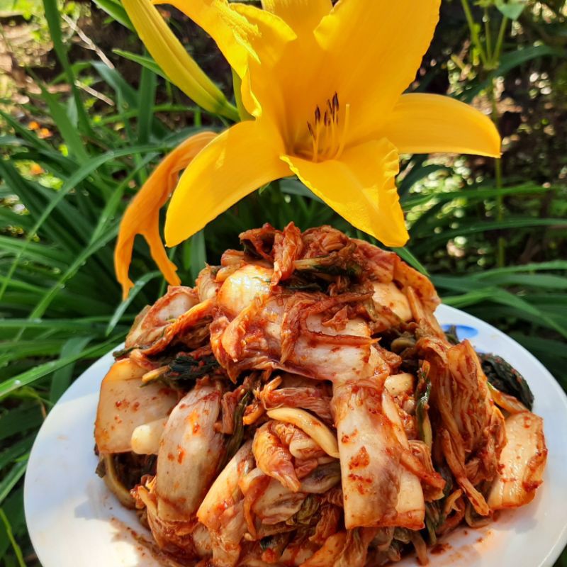 

Kimchi Sawi 500 gram