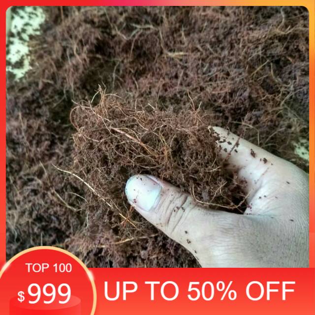 jual media tanam cocopeat 1kg - Media tanam - cocopeat
