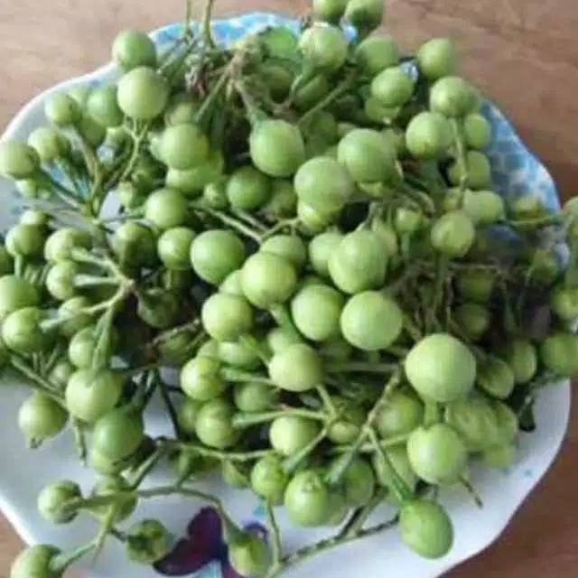 

100 gram buah cepokak segar takokak buah rimba