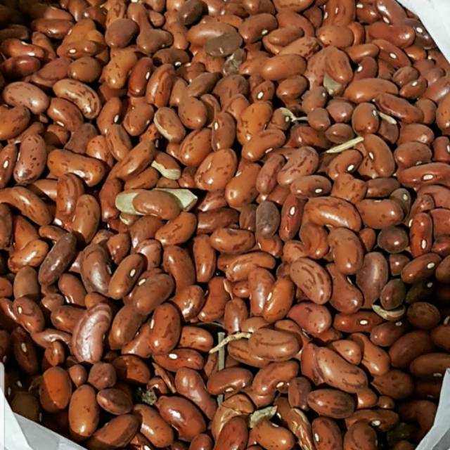 

KACANG MERAH 500GR