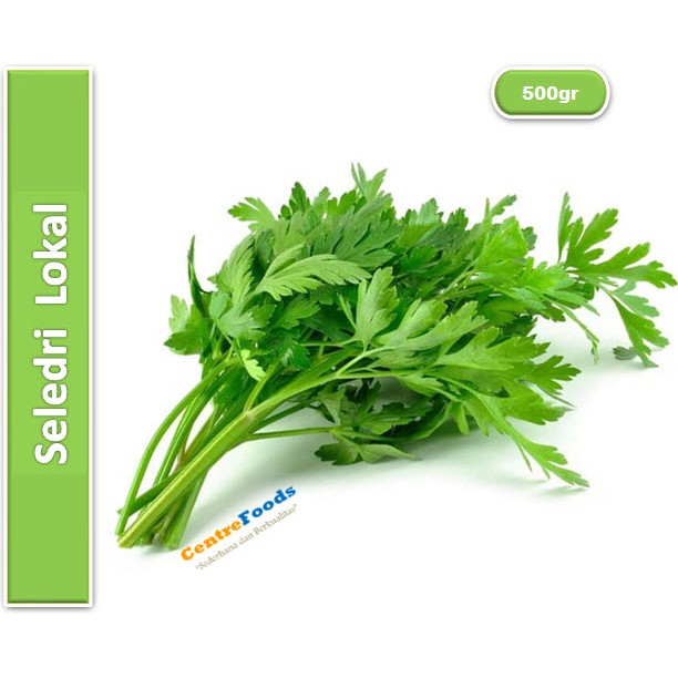 

Seledri Lokal Fresh | Java [ Berat 0.5kg / 500gr ]