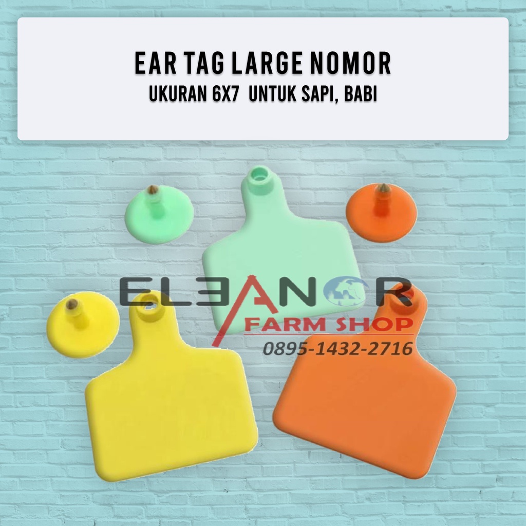 Jual ear tag eartag polos ukuran Large 6x7cm untuk babi sapi kerbau ...