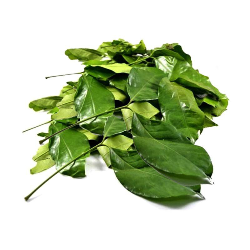 Daun Melinjo/ Gnetum Gnemon Per 1Kg