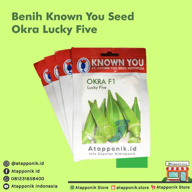 benih bibit okra hijau lucky five KYS