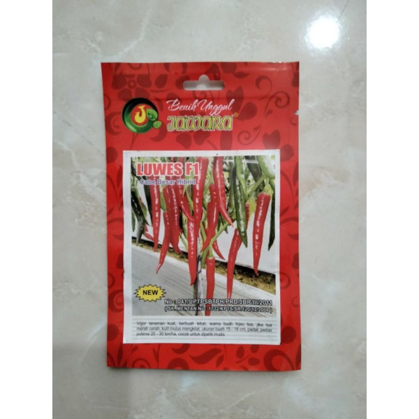 benih cabe Luwes JAWARA F1 10 gr