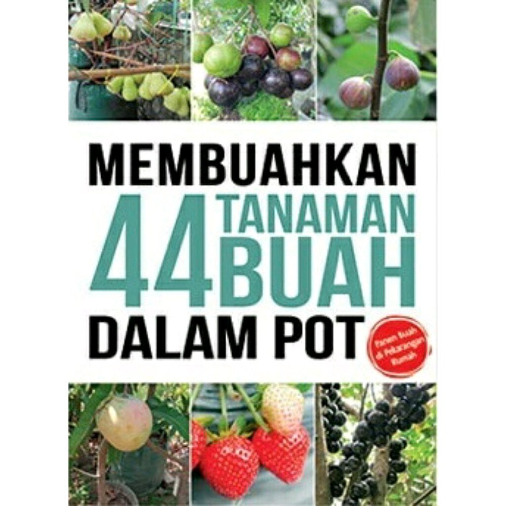 Membuahkan 44 Tanaman Buah Dalam Pot