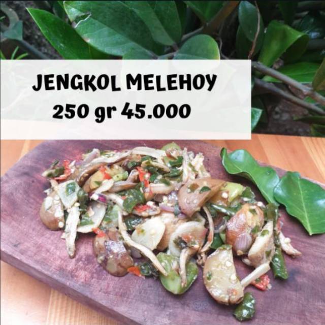 

Jengkol Melehoy