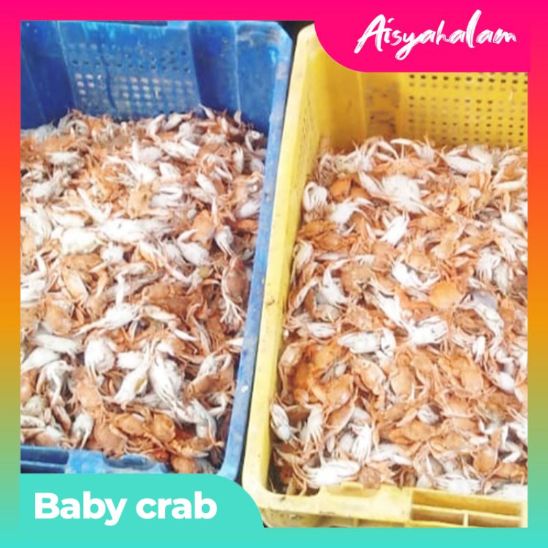 

BABY CRAB MENTAH GRADE A | SUDAH DIKUPAS