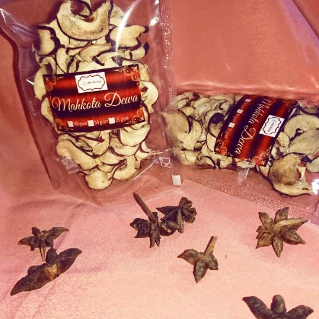 

Mahkota Dewa Kering / phaleria Macrocarpa / Scheff Obat Herbal