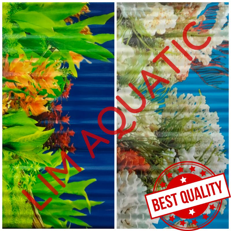 Background Gambar Aquarium 40 Cm / Walpaper Aquarium