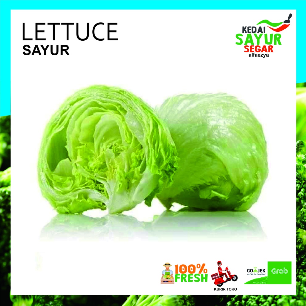 

LETTUCE Sayur Segar Repack 500gr / 1000gr