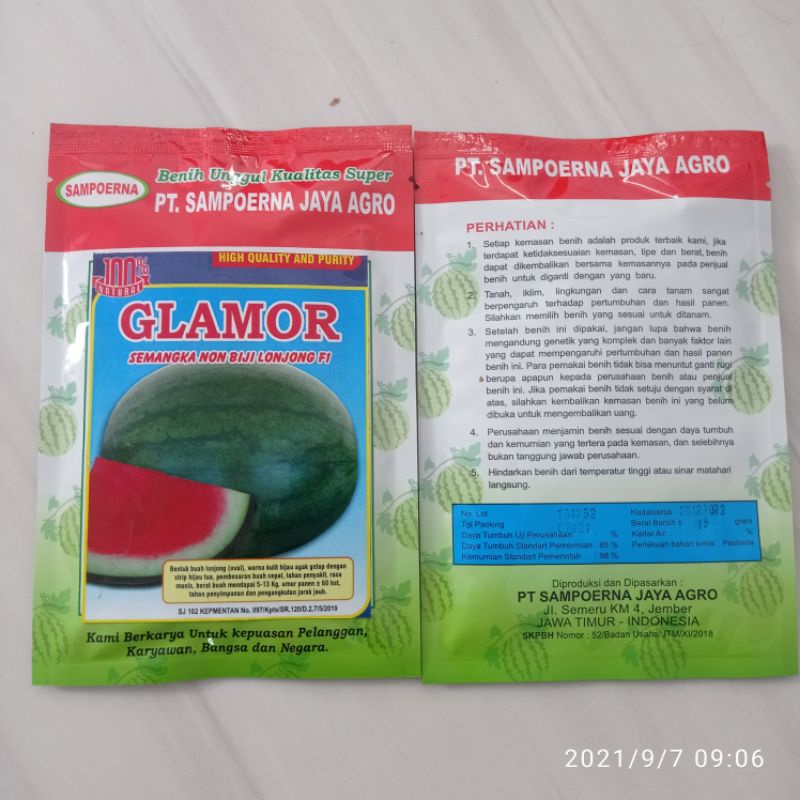 Benih semangka non biji lonjong