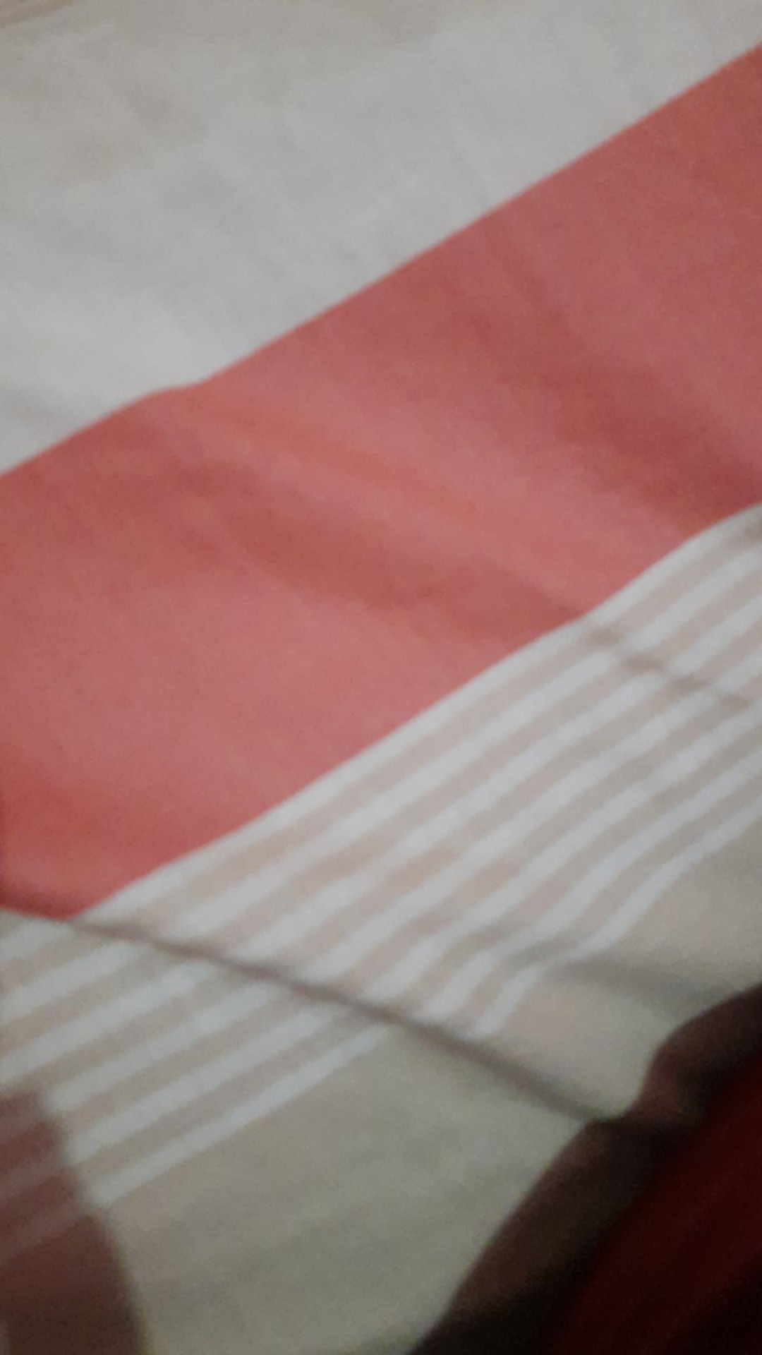 Bunga Hiasan Ring Bearer Terarium Kotak Cincin