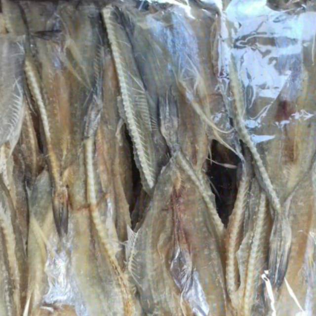 

Ikan tipis