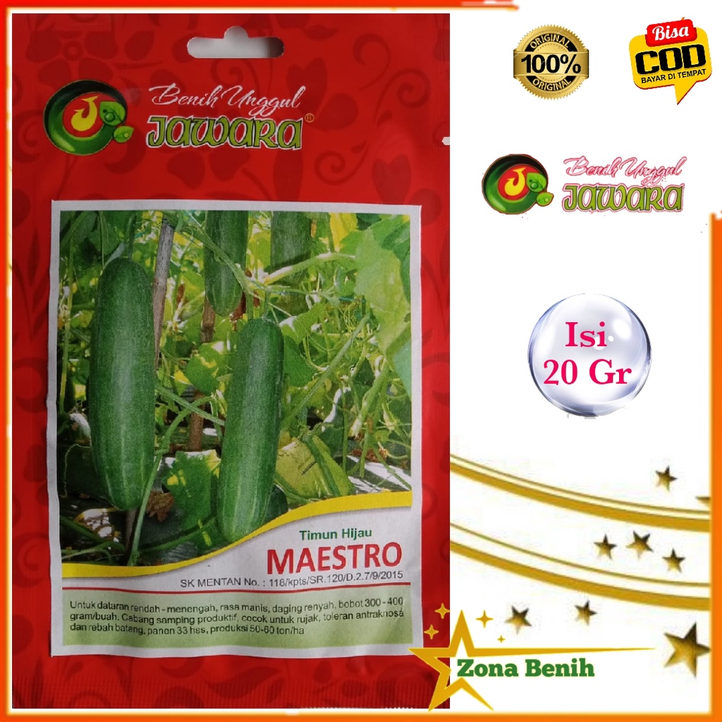 [20gr] Bibit Timun Hijau Unggul "MAESTRO "  - Benih Timun - Mentimun Hijau