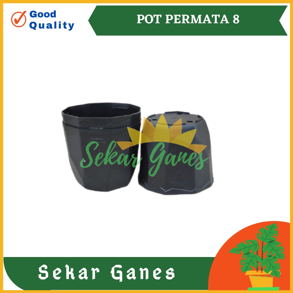 SEKAR Pot Permata 8CM Hitam Garden Of Love Pot 8 Cm Putih Pot Plastik Kaktus Sukulen Mini Lucu Murah