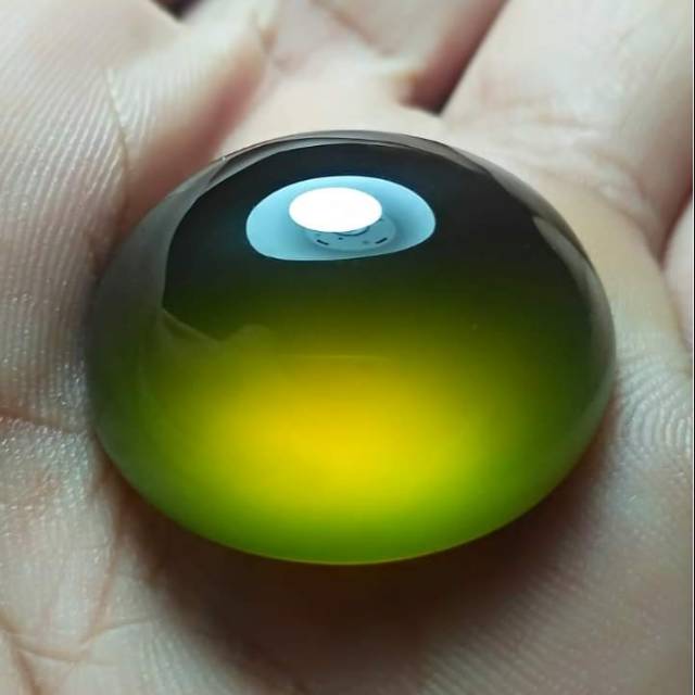 Bio solar hq bodi glass