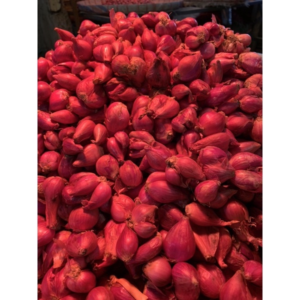 

bawang merah besar jawa/brebes/nganjuk/probolinggo 1kg