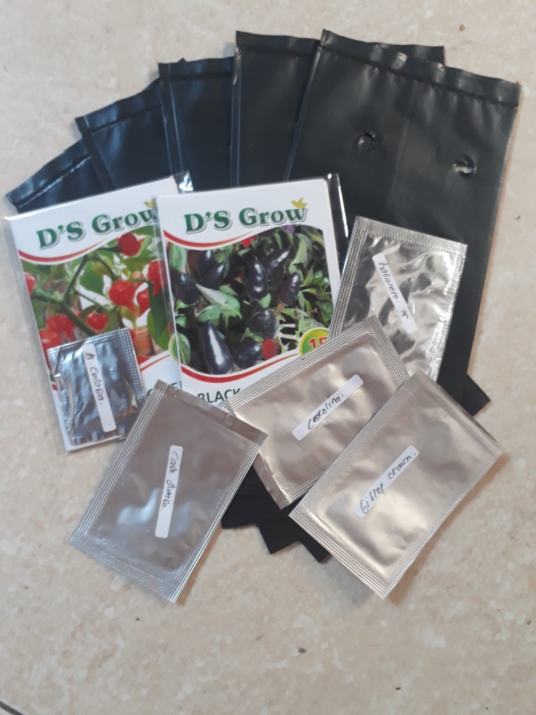 Benih Cabe Unik Black Royal 7rb/15 Biji