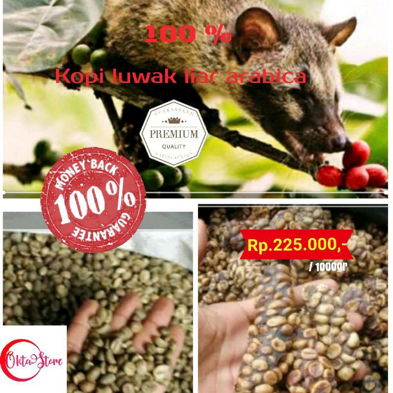 

Biji Kopi Arabika Luwak Liar Bean Kopi Arabica Murni Kering