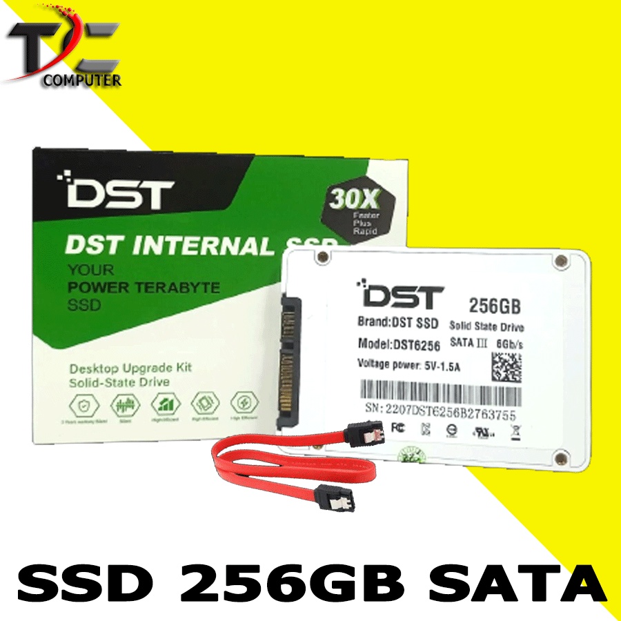 SSD 256GB - MERK DST