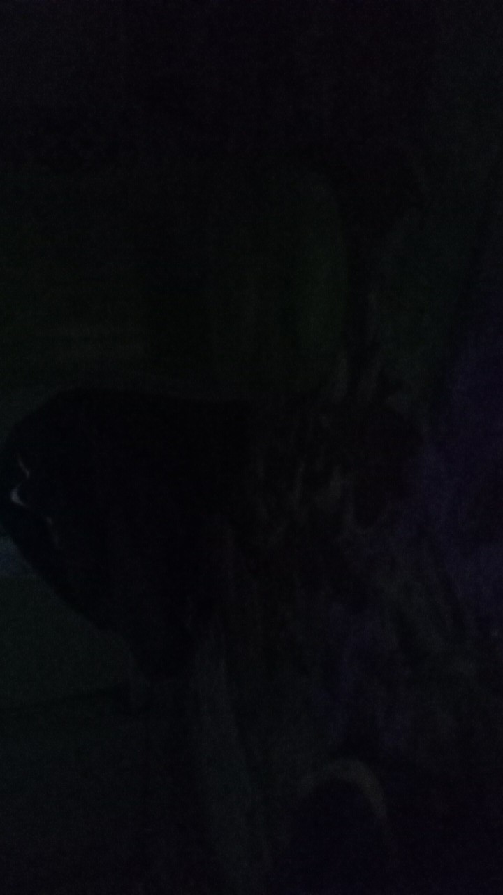 Hiasandinding/rohani/katolik/kristen/walldecor/pajangan/dekorasi