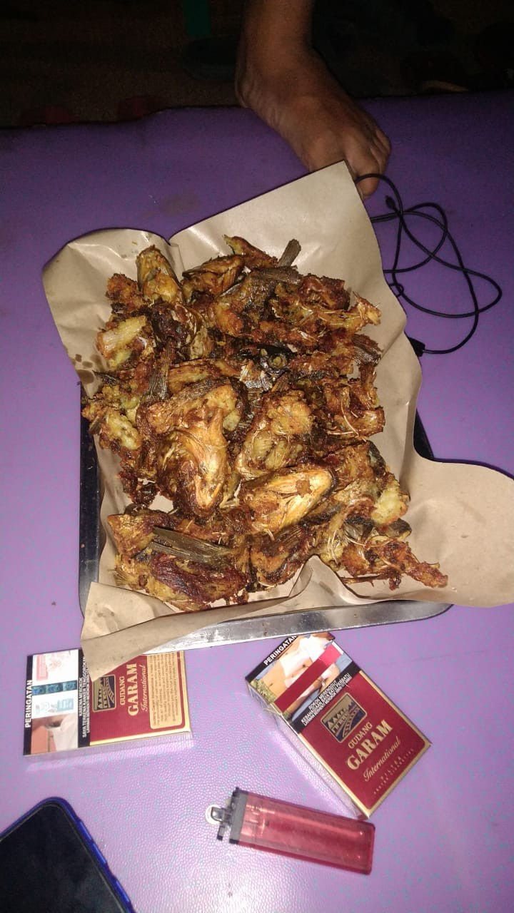 Essen Telur Ikan Sapu-sapu 50ml